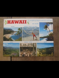 MAXI CARD POST /MAXI  CARTE POSTALE / HAWAII /  NU NUI 48