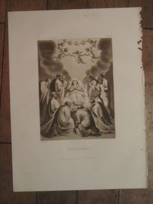 Gravure  d'après Filippo Bigioli  1855  N° 50