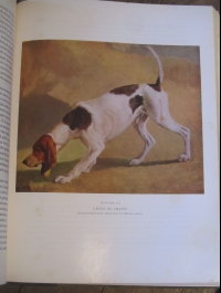 COLLECTIF / LE GRAND LIVRE DE LA CHASSE ET DE LA NATURE / MONACO 1952
